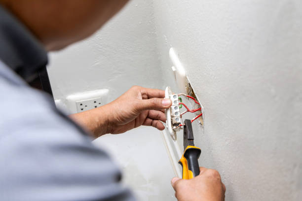 Best Electrical Repair Services  in Warm Mineral Springs, FL